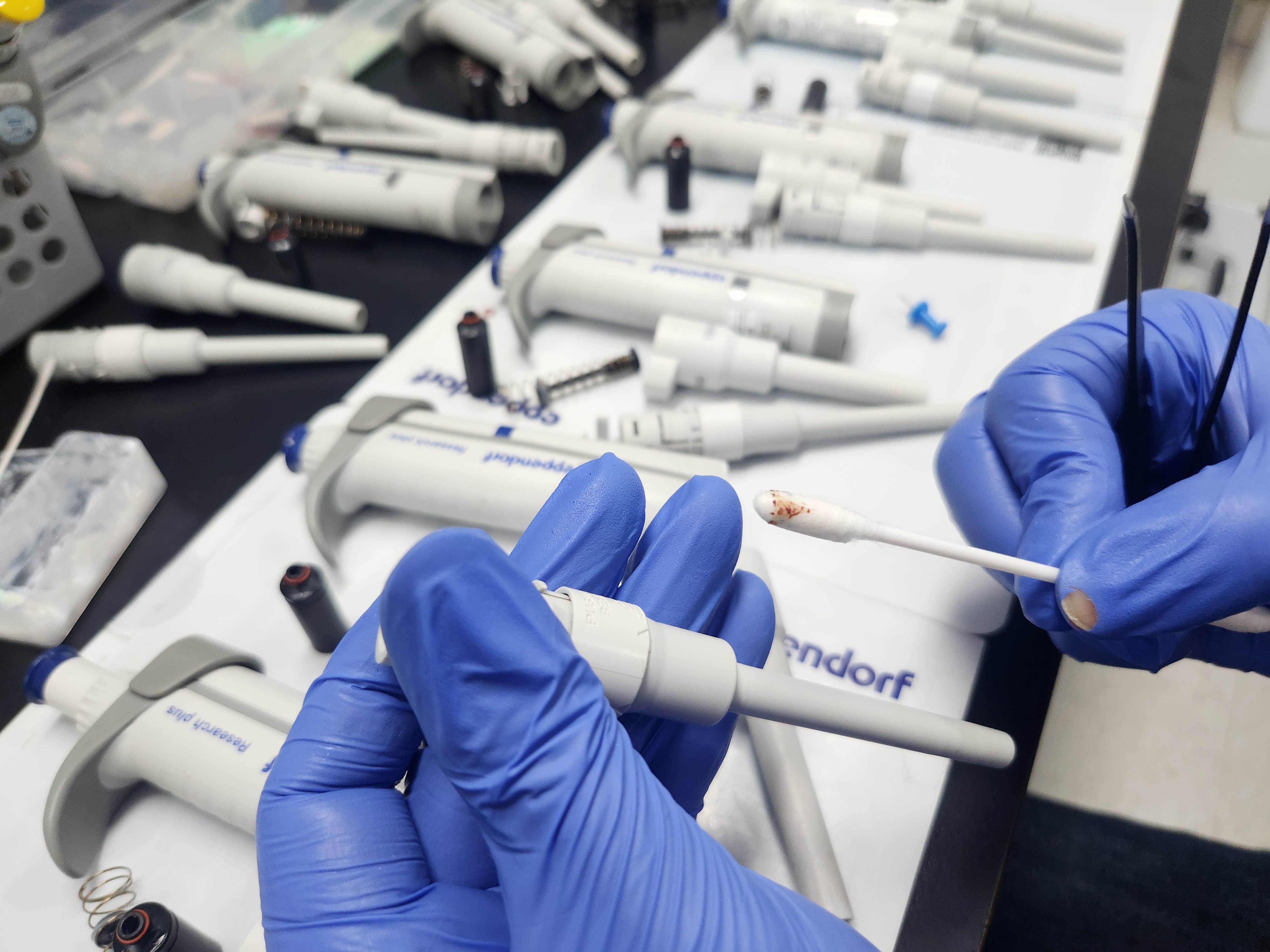 피펫(Pipette) 방문 점검 서비스