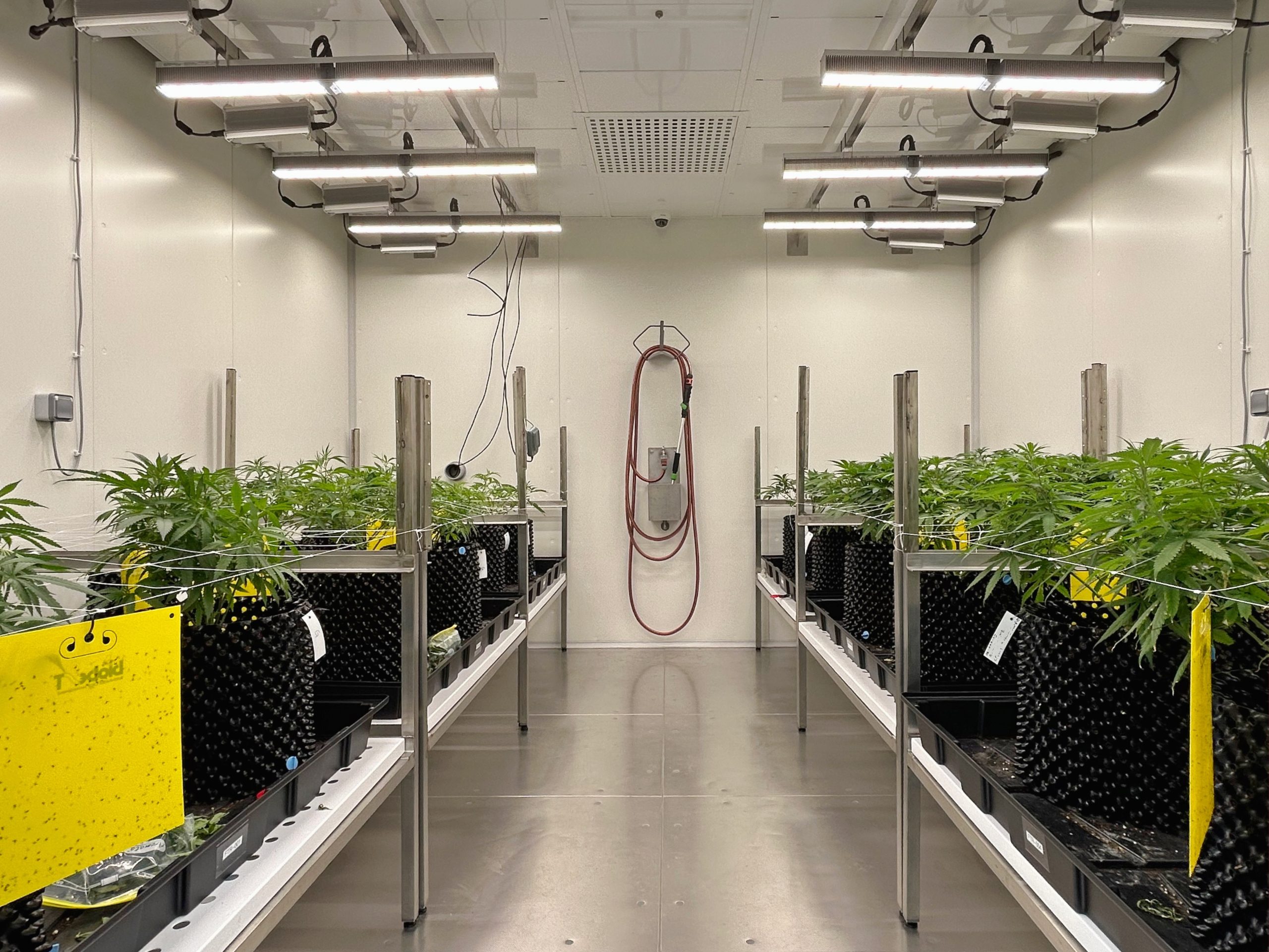 식물 배양 챔버 HP 